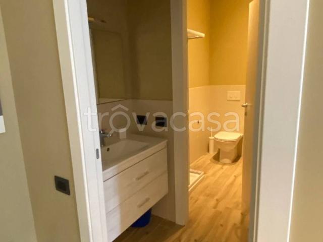 Appartamento in affitto a Torino via Bardonecchia, 112, arredato, giardino privato, terrazzo TrovaCasa