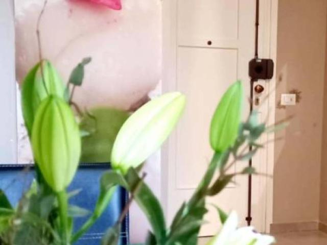 Appartamento in affitto a Torino via Isernia, arredato, ristrutturato, servizio di portineria TrovaCasa