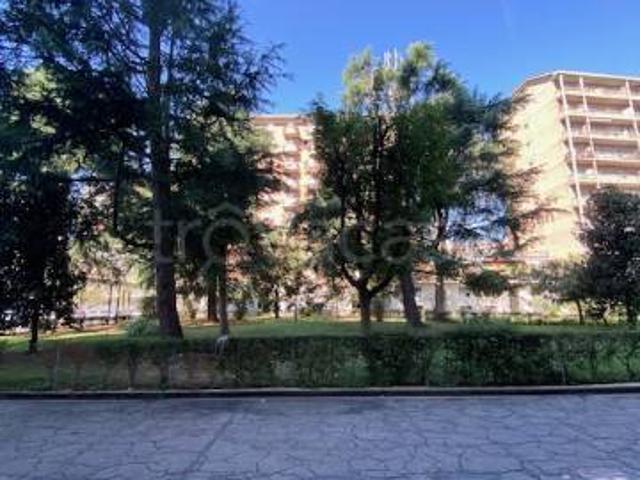 Appartamento in affitto a Torino corso Traiano, 68, arredato, ascensore, ristrutturato TrovaCasa