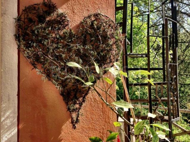 Appartamento in affitto a Torino strada dei Forni e dei Goffi, arredato, giardino privato, riscaldamento autonomo TrovaCasa