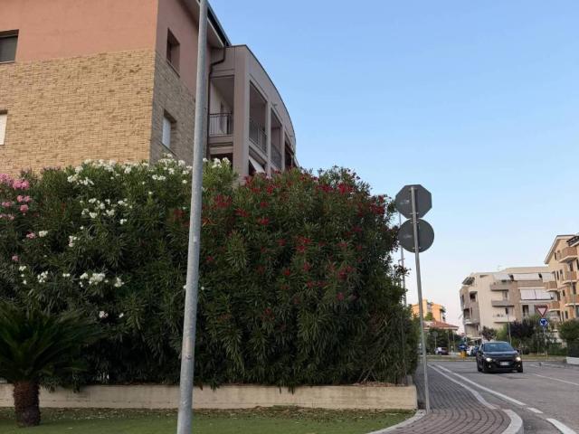 Appartamento in affitto a Tortoreto TE