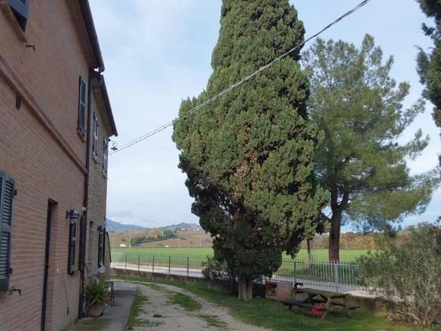 Appartamento in affitto a Treia MC