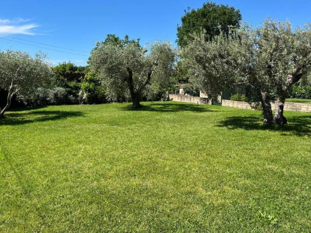 Appartamento in affitto a Trevignano Romano RM