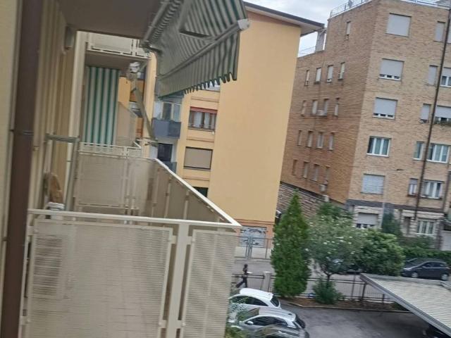 Appartamento in affitto a Treviso TV