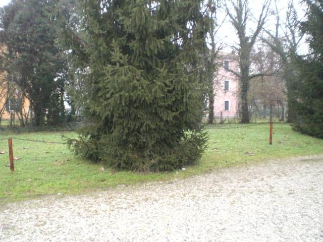 Appartamento in affitto a Treviso TV