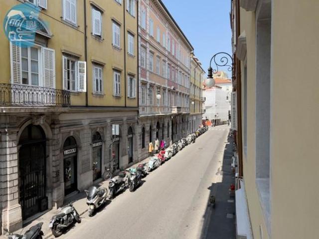 Appartamento in affitto a Trieste