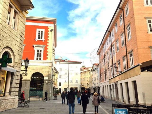 Appartamento in affitto a Trieste piazza di Cavana, 7, arredato, riscaldamento autonomo, ascensore TrovaCasa