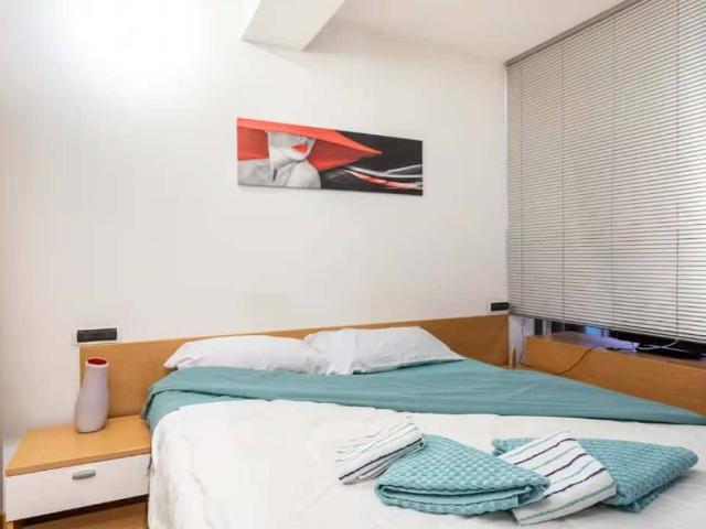 Appartamento in affitto a Trieste TS