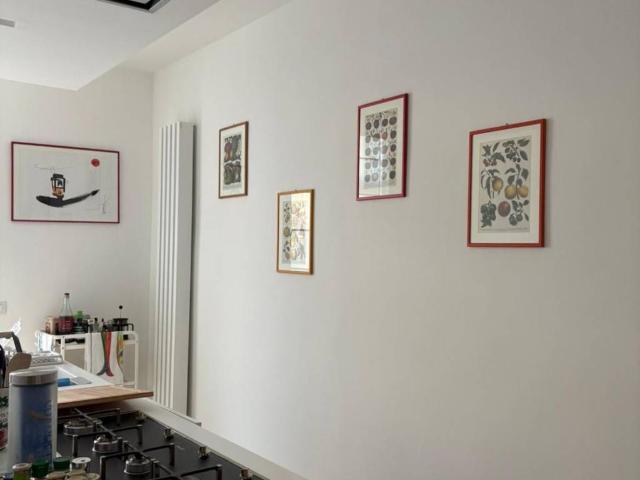 Appartamento in affitto a Trieste TS