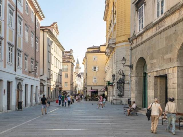 Appartamento in affitto a Trieste TS