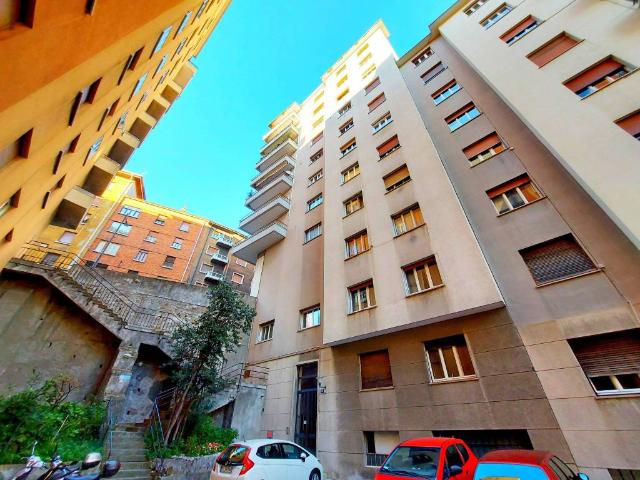 Appartamento in affitto a Trieste TS