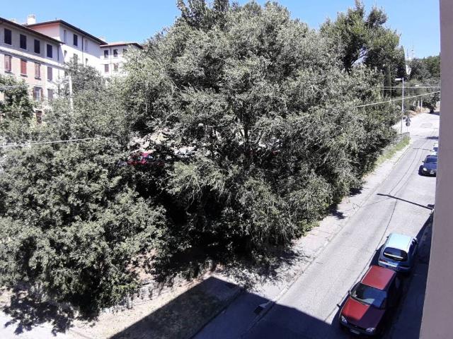 Appartamento in affitto a Trieste TS