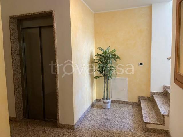 Appartamento in affitto a Trieste via Domenico Rossetti, 61, arredato, terrazzo, riscaldamento autonomo TrovaCasa