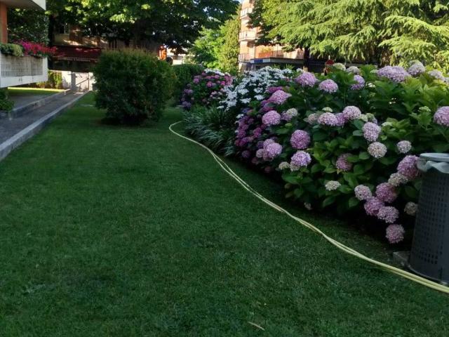 Appartamento in affitto a Udine UD