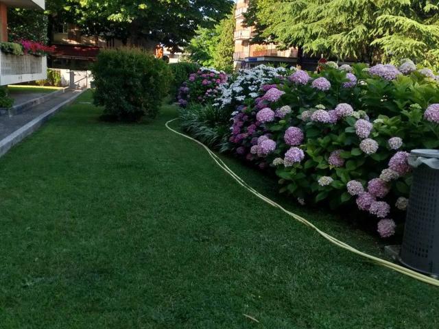 Appartamento in affitto a Udine