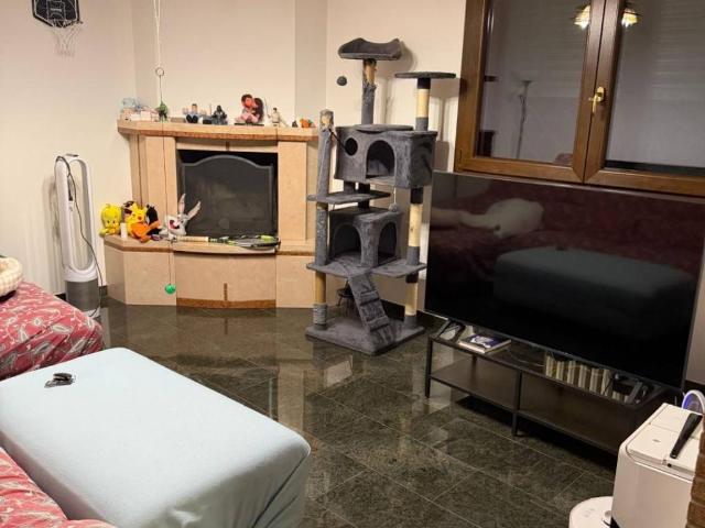 Appartamento in affitto a Valsamoggia BO