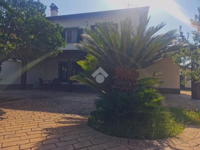 Appartamento in affitto a Velletri, giardino privato, cantina, ripostiglio TrovaCasa