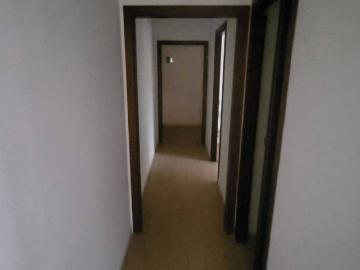 Appartamento in affitto a Velletri RM