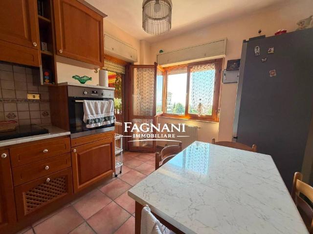 Appartamento in affitto a Velletri RM