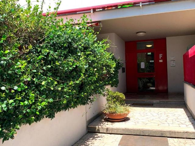 Appartamento in affitto a Velletri RM