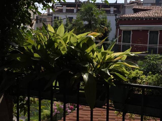 Appartamento in affitto a Venezia VE