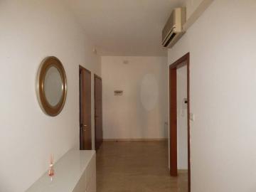 Appartamento in affitto a Verona VR
