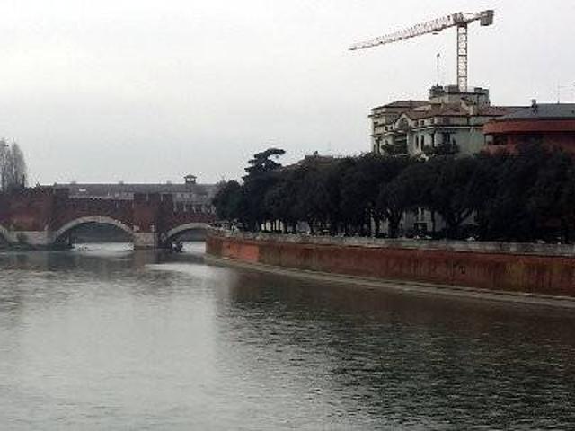 Appartamento in affitto a Verona VR