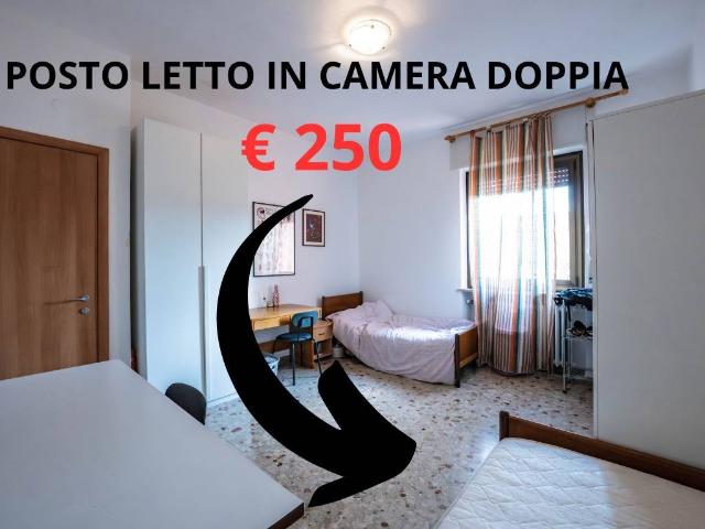 Appartamento in affitto a Verona VR
