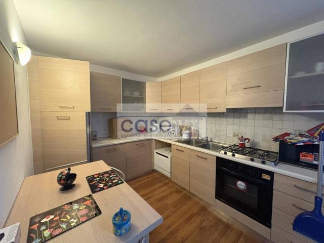 Appartamento in affitto a Verona VR