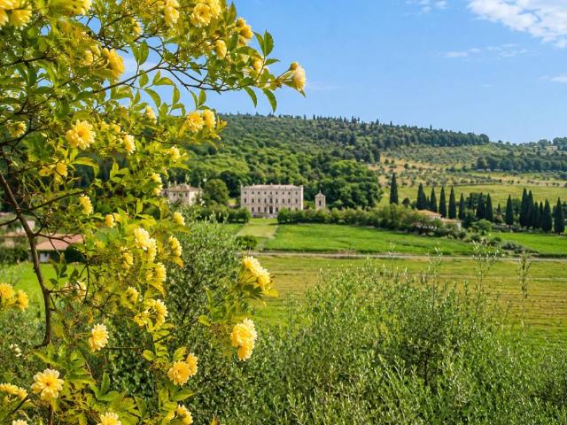 Appartamento in affitto a Verona VR