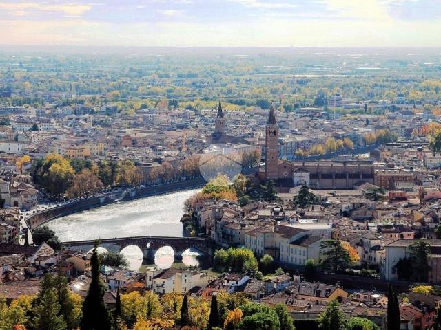 Appartamento in affitto a Verona VR