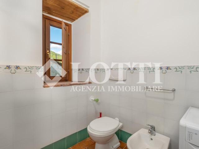 Appartamento in affitto a Vicopisano