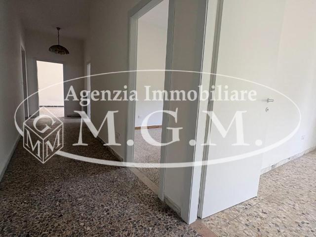 Appartamento in affitto a Vicopisano