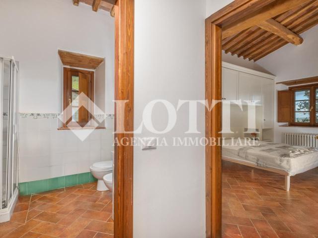 Appartamento in affitto a Vicopisano