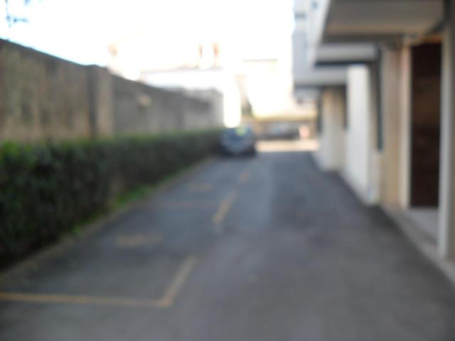 Appartamento in affitto a Viareggio