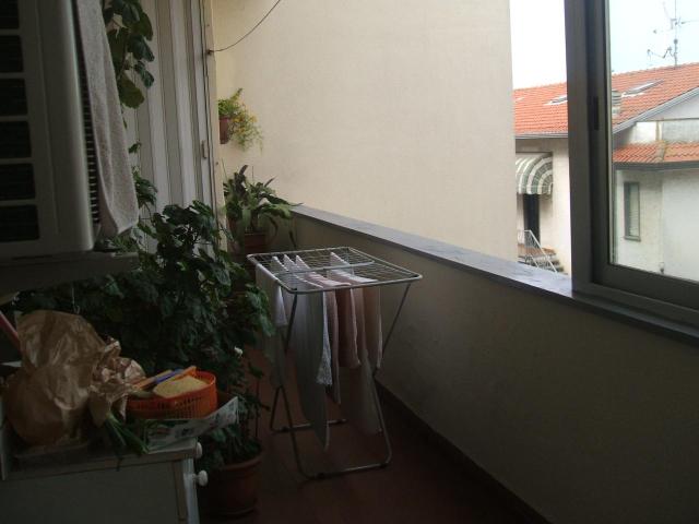 Appartamento in affitto a Viareggio