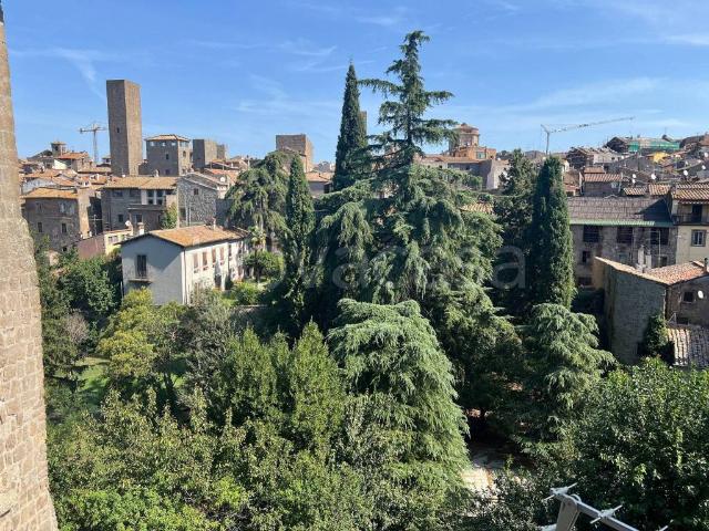 Appartamento in affitto a Viterbo piazza Sant'Andrea, arredato, riscaldamento autonomo, caminetto TrovaCasa