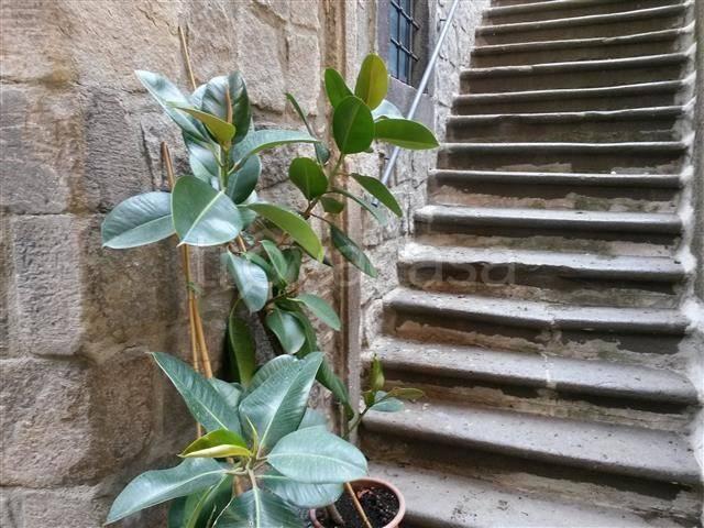 Appartamento in affitto a Viterbo via Ottusa, arredato, ristrutturato, centrale TrovaCasa