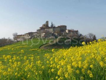 Appartamento in affitto a Zocca via Casellina, arredato, giardino privato, caminetto TrovaCasa