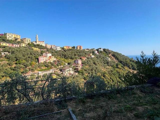 Appartamento in affitto a Zoagli GE