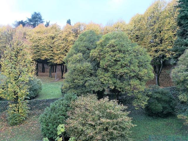 Appartamento in affitto di 40 m² in Borgo Berga