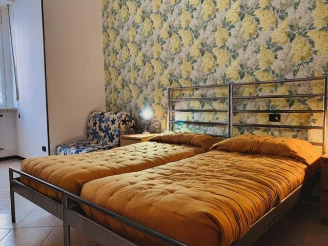 Appartamento in affitto di 40 m² in Via Paulucci di Calboli Fulcieri, 3