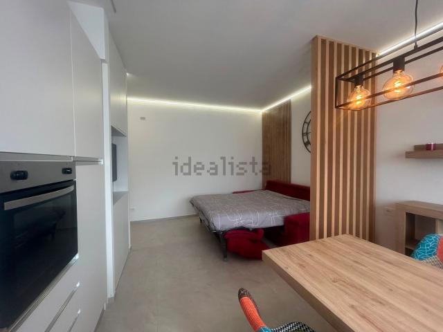 Appartamento in affitto di 40 m² in Via Silvestro Sanvito, 42