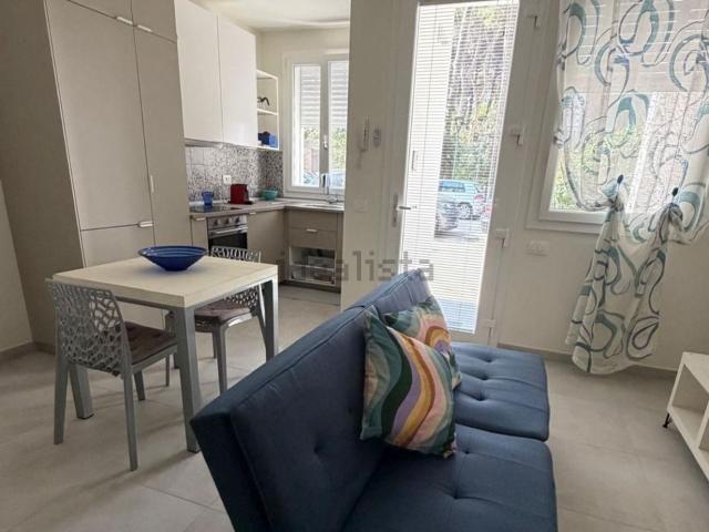 Appartamento in affitto di 40 m² in Viale delle Acacie