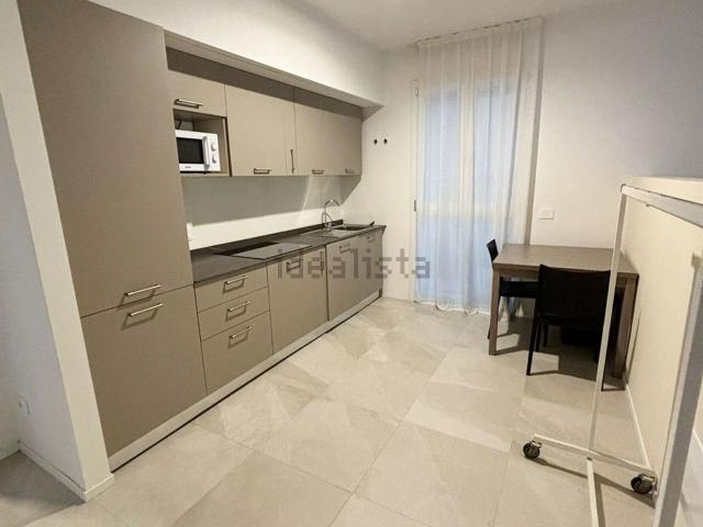 Appartamento in affitto di 40 m² in Viale Riccardo e Pietro Barilla, 28