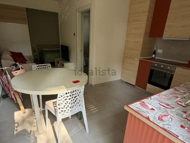 Appartamento in affitto di 42 m² in Viale delle Acacie
