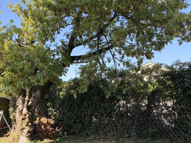 Appartamento in affitto di 45 m² in Corso 29 Aprile