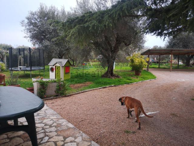 Appartamento in affitto di 45 m² in Via dei salici