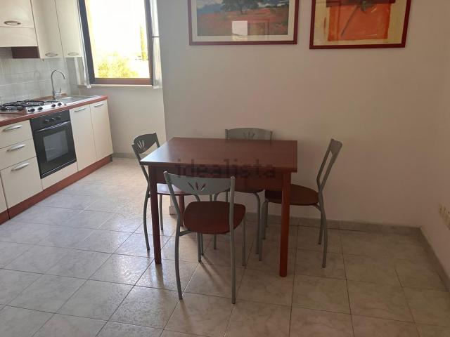 Appartamento in affitto di 46 m² in Via Carrara, 131
