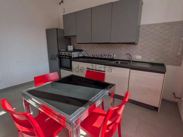 Appartamento in affitto di 48 m² in Via Molino Selbagnone